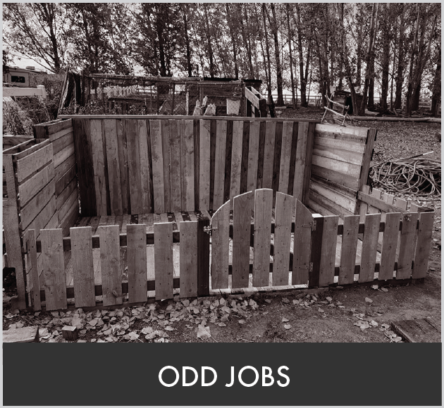 Boise Odd Jobs